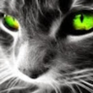 Meet your Posher, Teresa